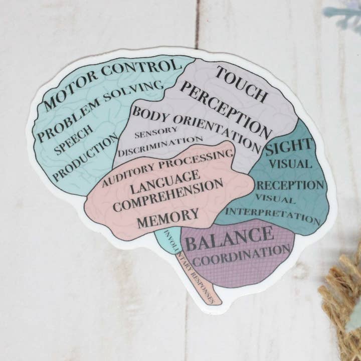 Autocollant Fonctions cérébrales pour la vente par Kaysticks.co