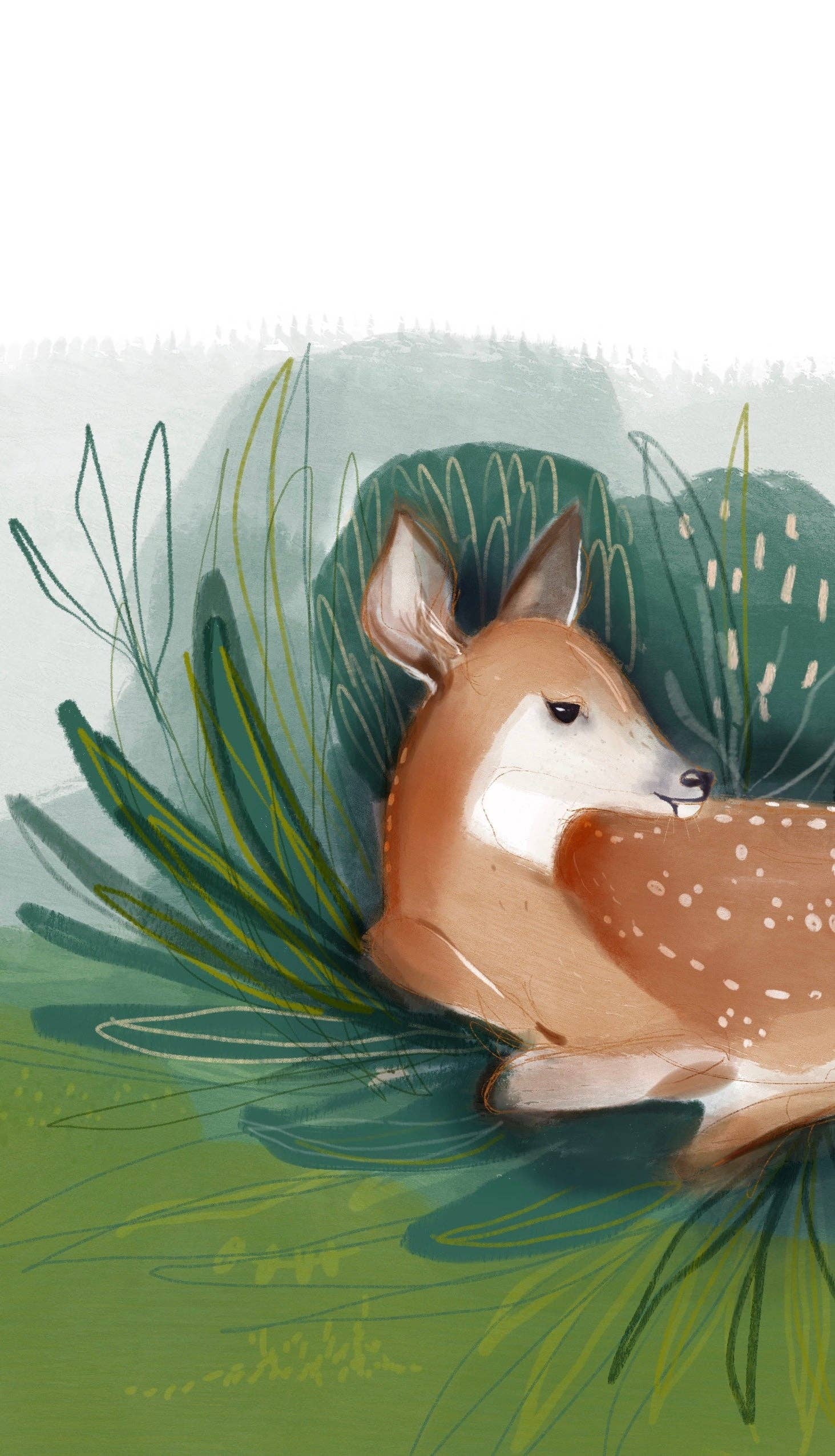 True Cotton - Wholesale Preschool Book (3-5) - Fear Not Sweet Frances - Children's Book10