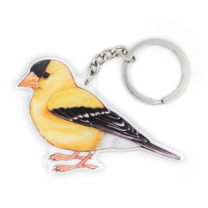 Porte-clés en acrylique double face American Goldfinch pour la vente par Allison Stoiser Art