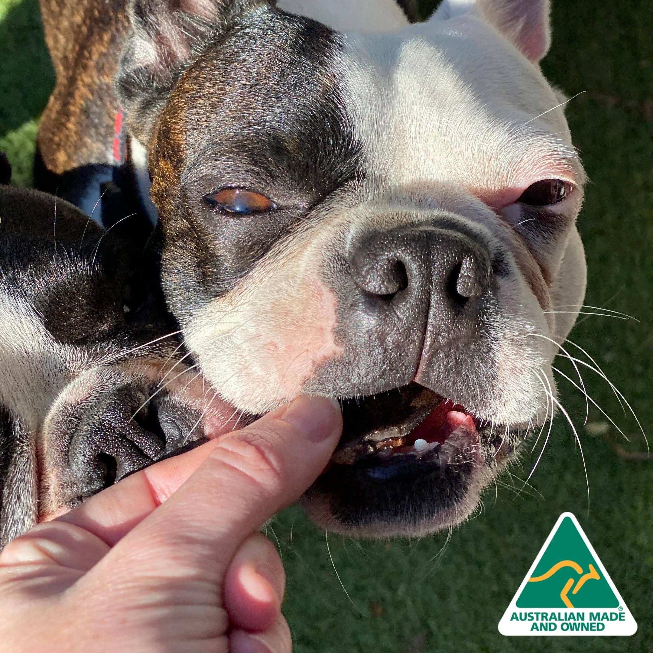 Rover Pet Products – wholesale Godis - Hund – Lammstek - Lammlever1