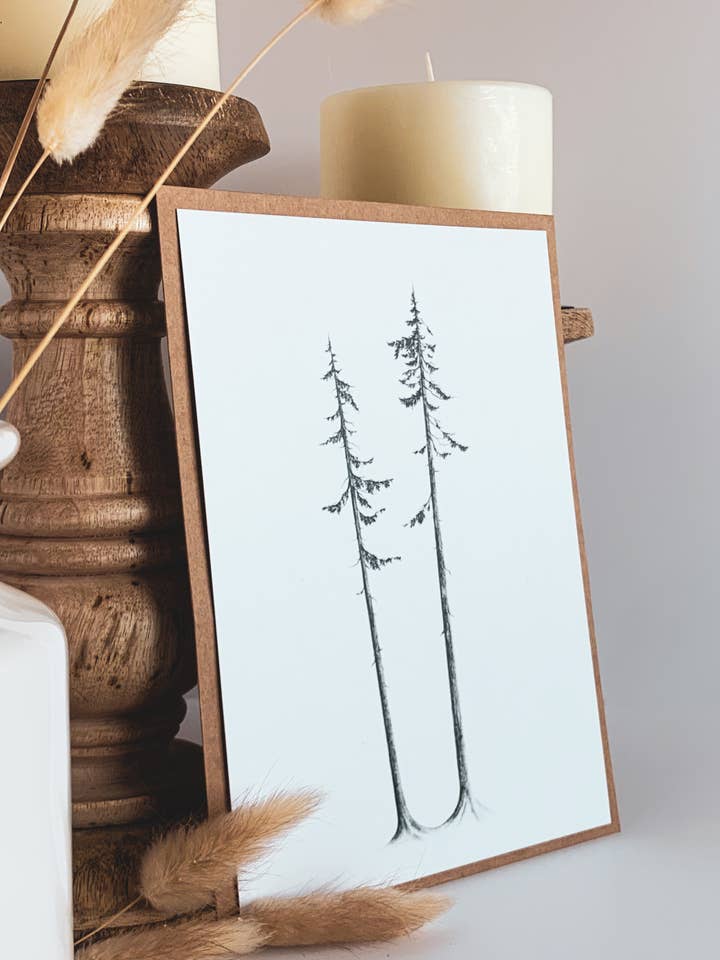 Western Cedars for wholesale by Sitkas & Seas