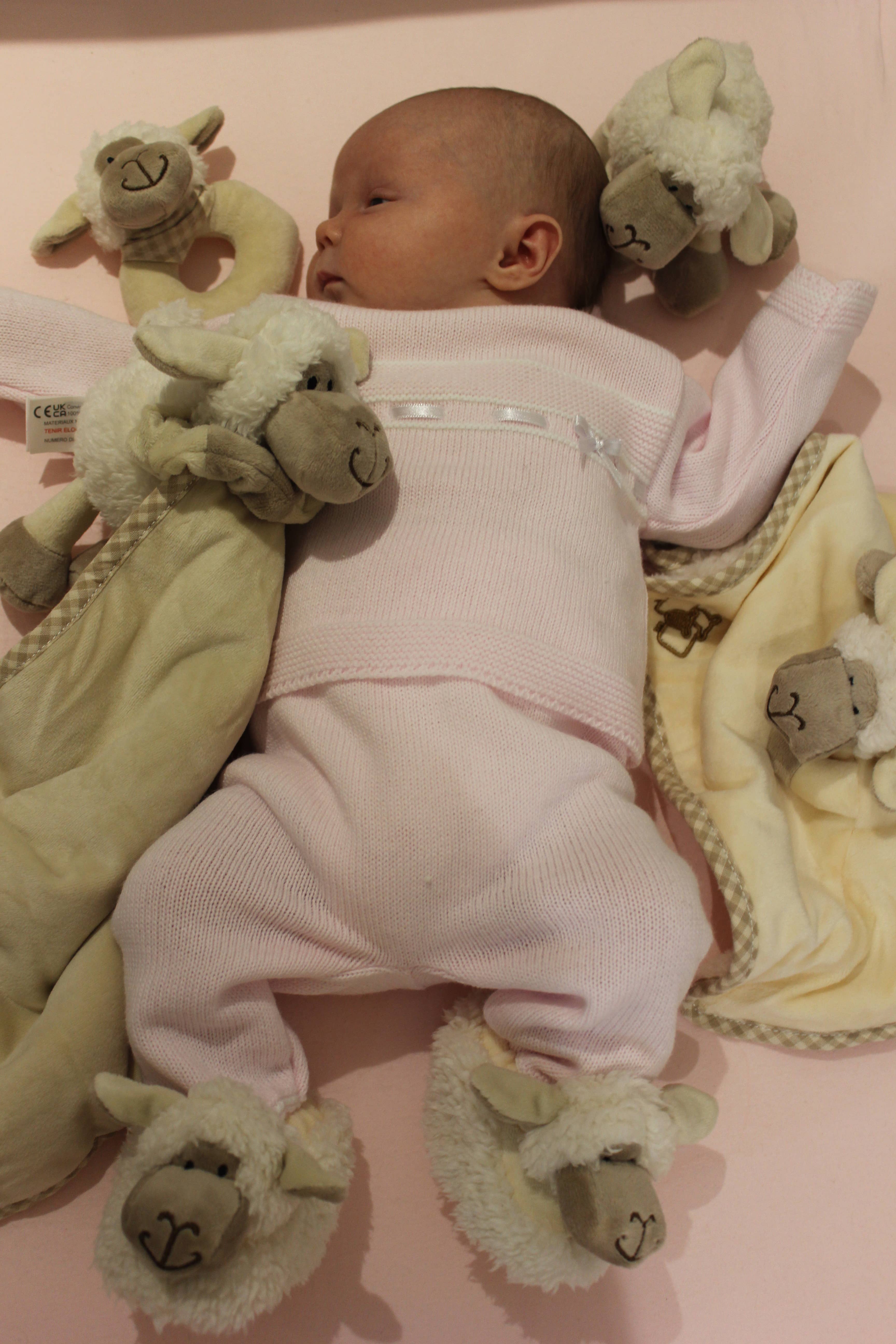 Jomanda Soft Toys & Accessories - Wholesale Slippers - Baby - Sheep Soft Plush Baby Slippers House Shoes, 0-6 months7