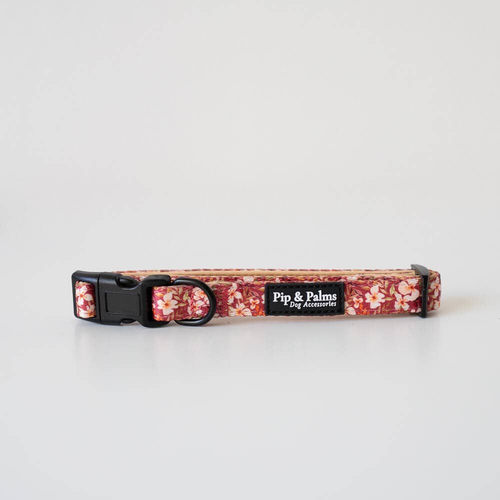 Pip and Palms - Wholesale Pet Collar - Dog - Dog Collar Fallen Flowers0