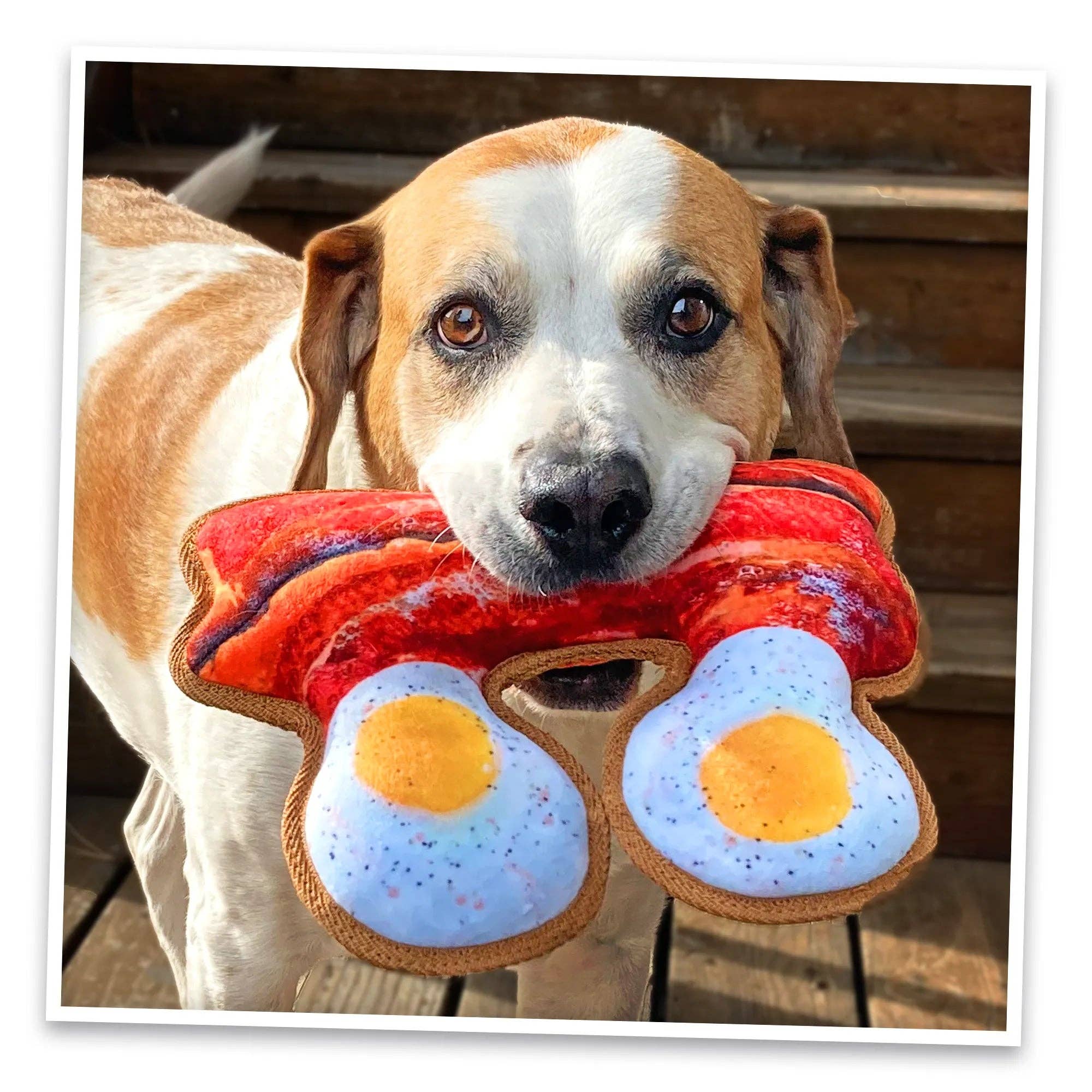 SmarterPaw | Meowijuana & Doggijuana - Wholesale Pet Chew Toy - Dog - Doggijuana® Tuffer Chewer Eggs and Bacon Refillable Dog Toy7
