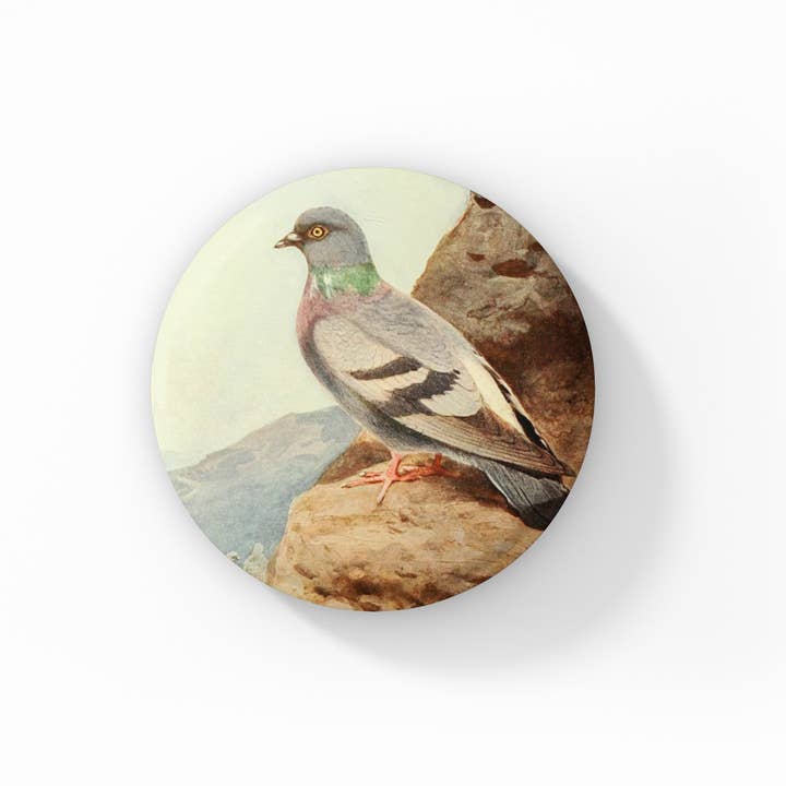 NatureCuts - Wholesale Lapel Pin/Button - Pigeon Pin, Pigeon Keychain, Pigeon Magnet0