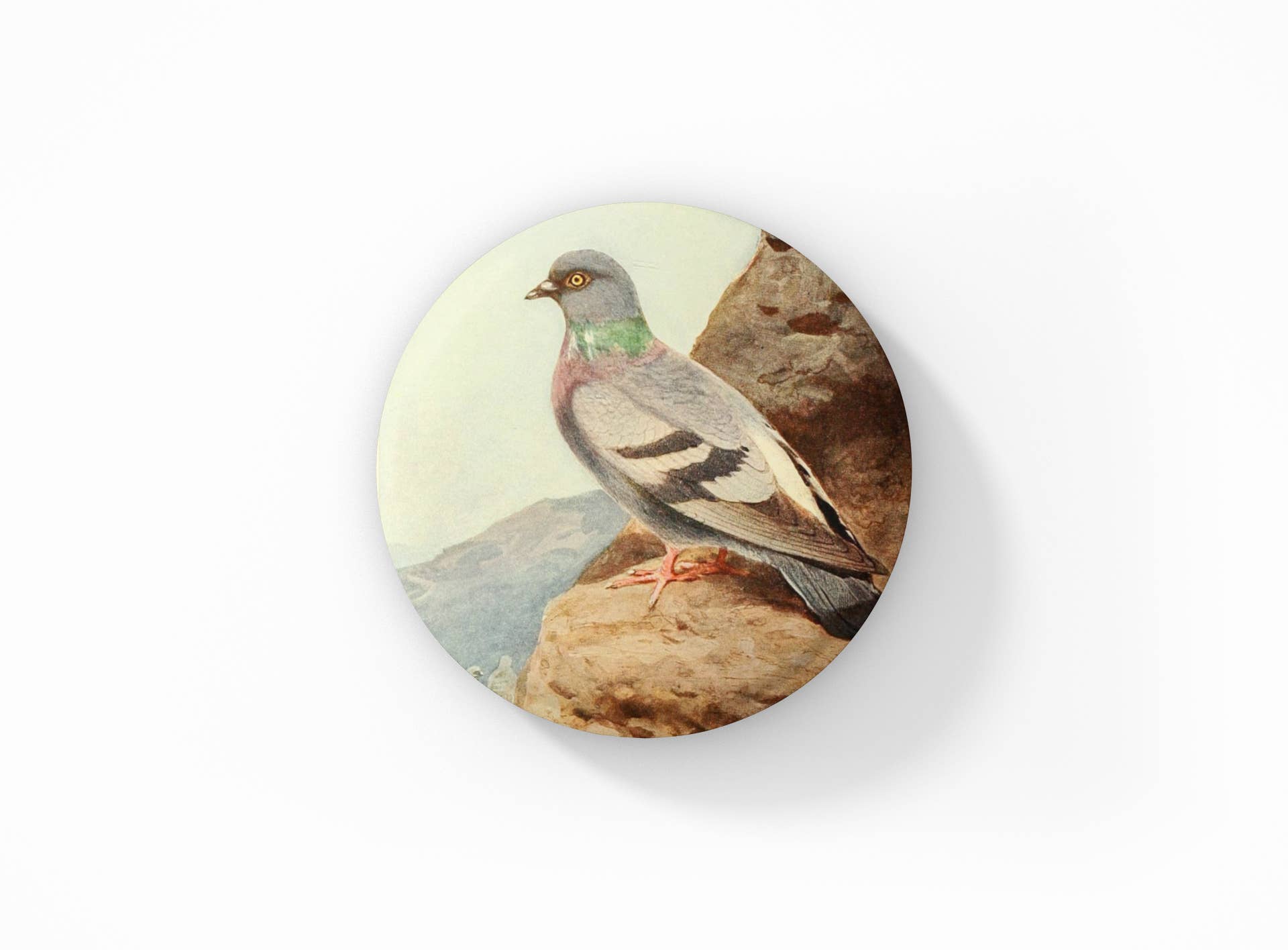 NatureCuts - Vendita all'ingrosso Spilla da bavero - Spilla Piccione, Portachiavi Piccione, Magnete Piccione