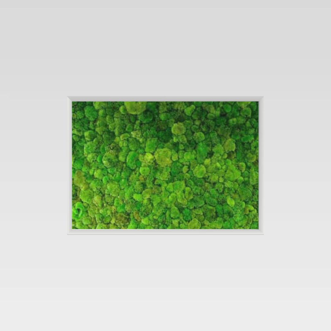 faithbook – wholesale Art print – Preserved Moss Wall Art Picture - FREESTYLE1
