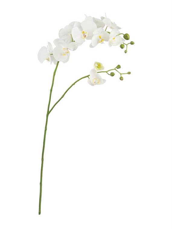 Phalaenopsis Orchid Spray X2 39.5" White for wholesale by Select Artificials, Inc.