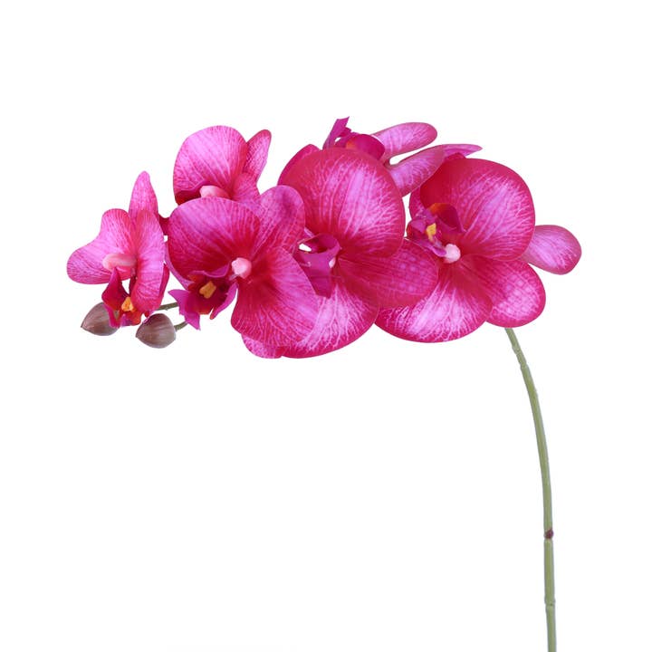 Green Import Limited - Wholesale Artificial Flowers - FL11791 PHALAENOPSIS SPx9F(NAT. TOUCH),46in1