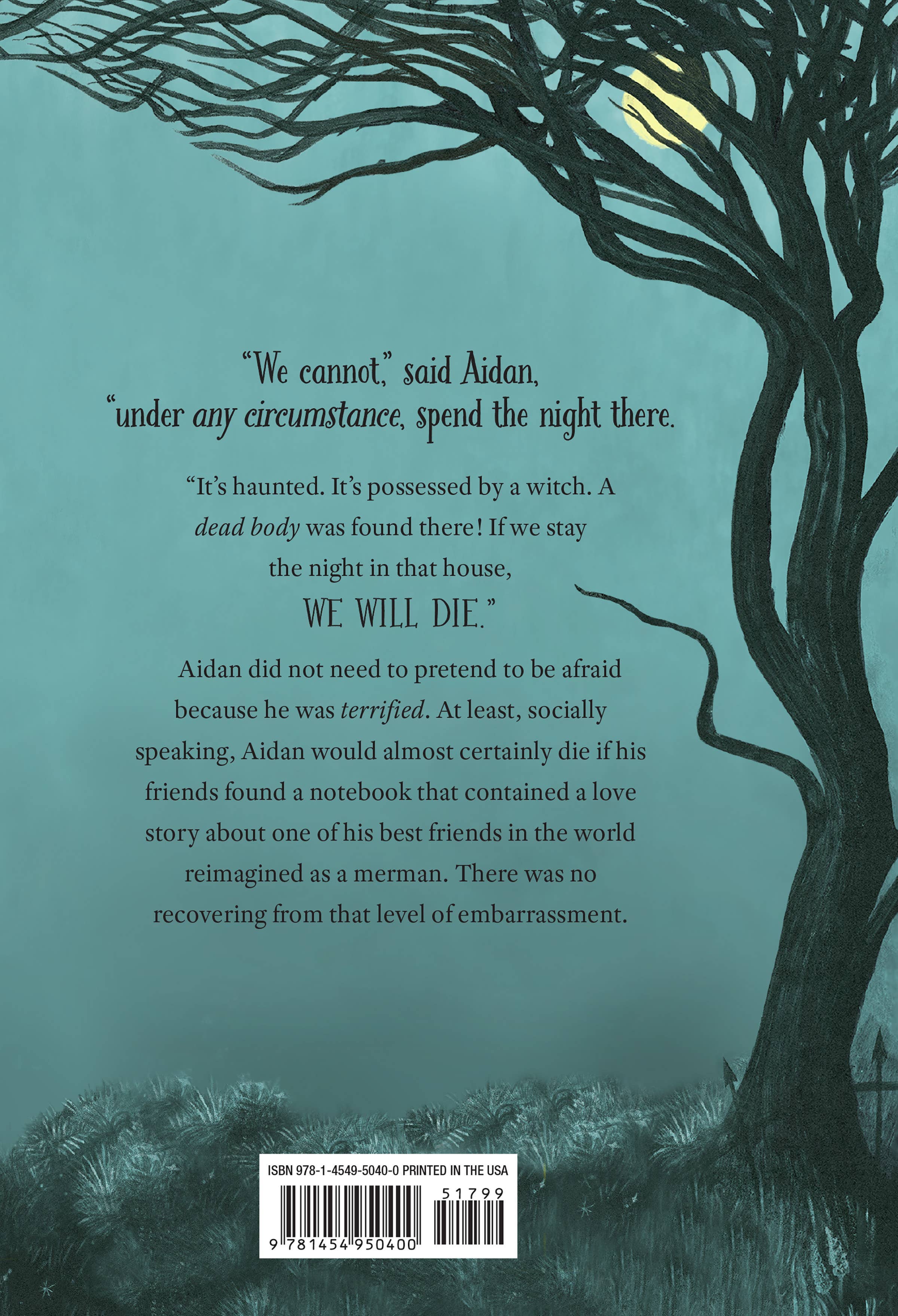 Hachette Book Group - Wholesale Middle Grade Book (9-12) - The House on Yeet Street (Hardcover) by Preston Norton1