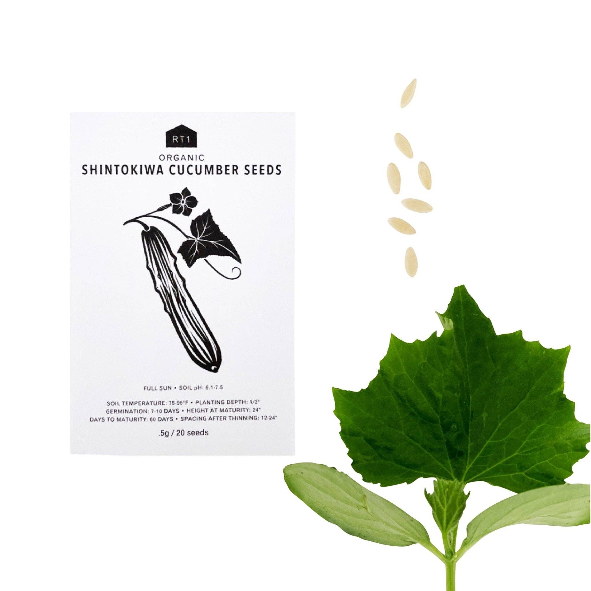 RT1home – wholesale Frön – ÖRTFRÖN - 1 PACK21