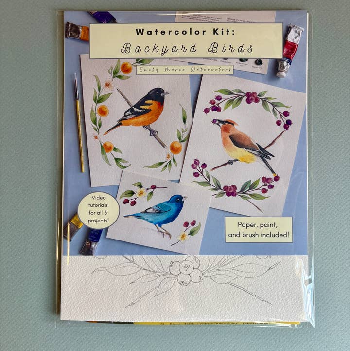 Emily Marie Watercolors - Wholesale DIY Craft Kit - Watercolor Painting Kit: Backyard Birds1
