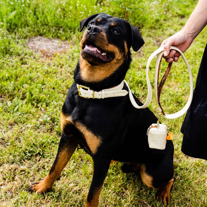 Le Dog Company - Wholesale Pet Leash - Dog - Padded Leather Leash4