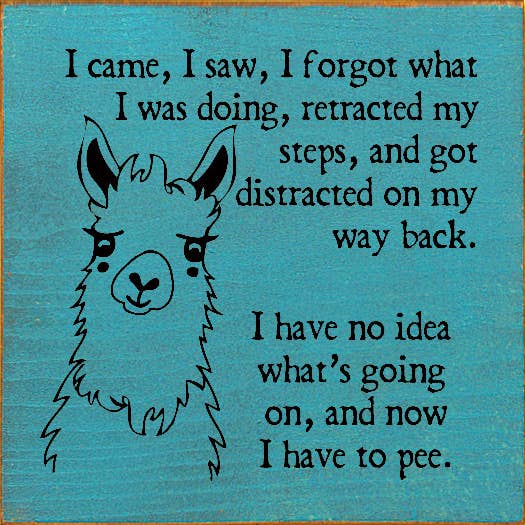 SAWDUST CITY - Wholesale Sign - I came, I saw, I forgot what I was doing, retracted my steps2