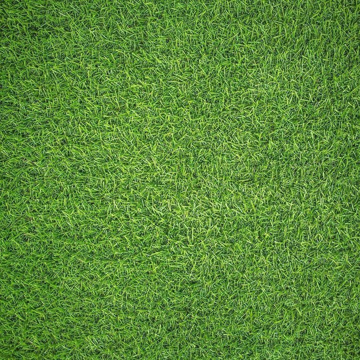 All Jigsaw Puzzles – wholesale Puzzle – Adult – Natural Grass - Impuzzible No.7 - 1000 Piece Jigsaw Puzzle1