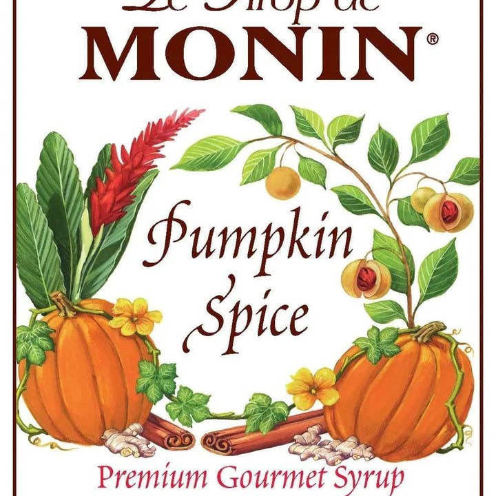 Trent Allen Gourmet Coffee - Wholesale Cocktail Mix/Syrup - Monin Pumpkin Spice Syrup ( 2 Pack )
