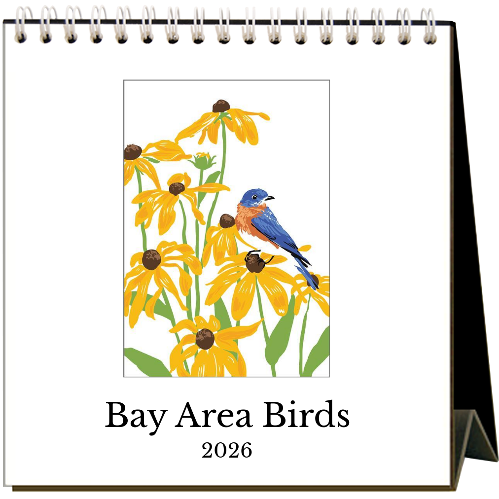 Rigel Paper - Wholesale Calendar - 2026 Bay Area Birds  Desk Calendar0