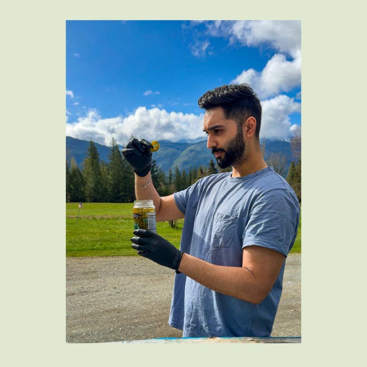 Ayurveg | NudeVeg Pickles - Wholesale Pickled Vegetables - Handcrafted Pickled Jalapenos | Spicy Dill | 16oz4