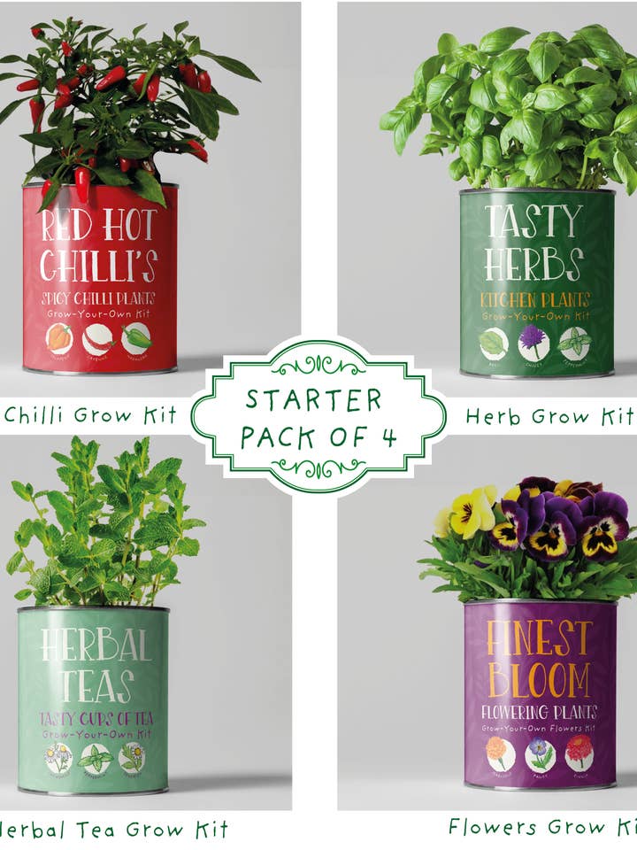 Retailer starter pack of 4 for wholesale by The Plant Gift Co.