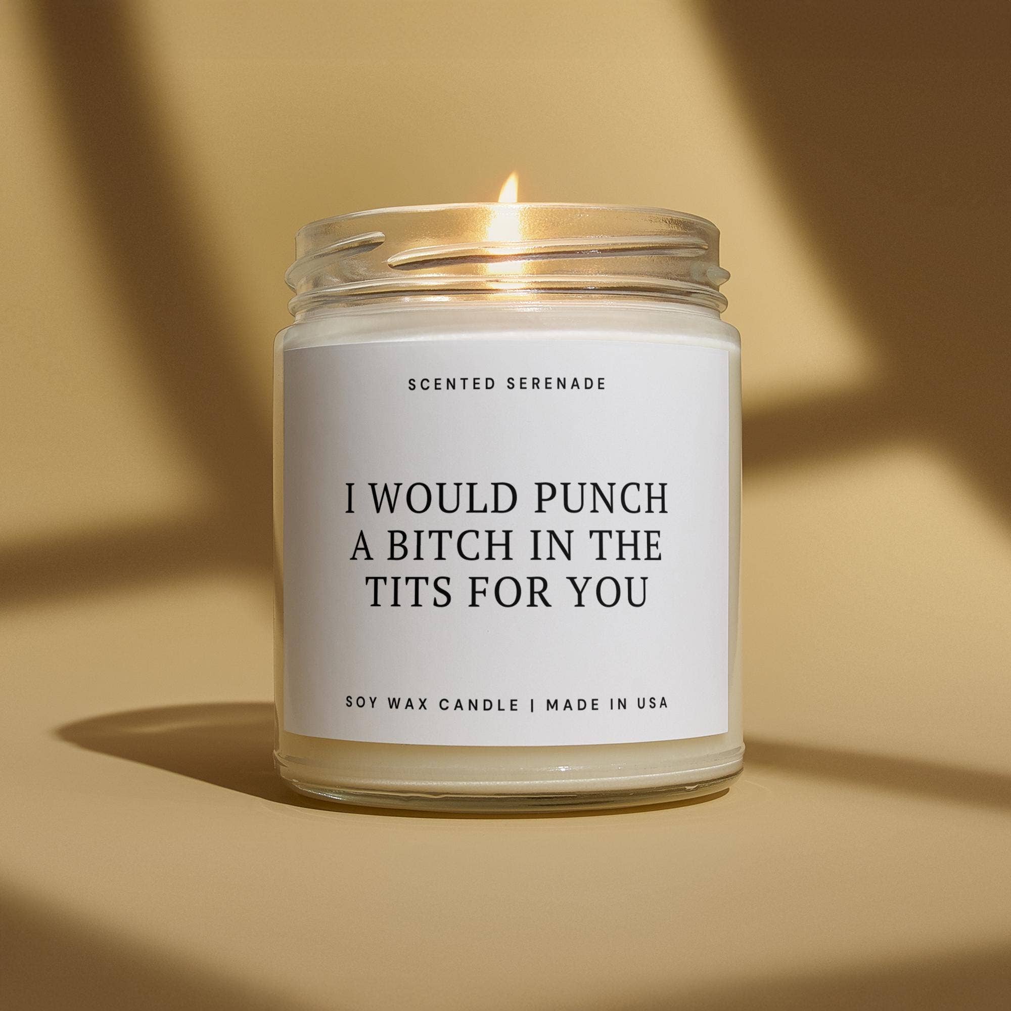 Scented Serenade - Wholesale Jar/Filled Candle - Punch A Bitch in The Tits Funny Ecofriendly Candle