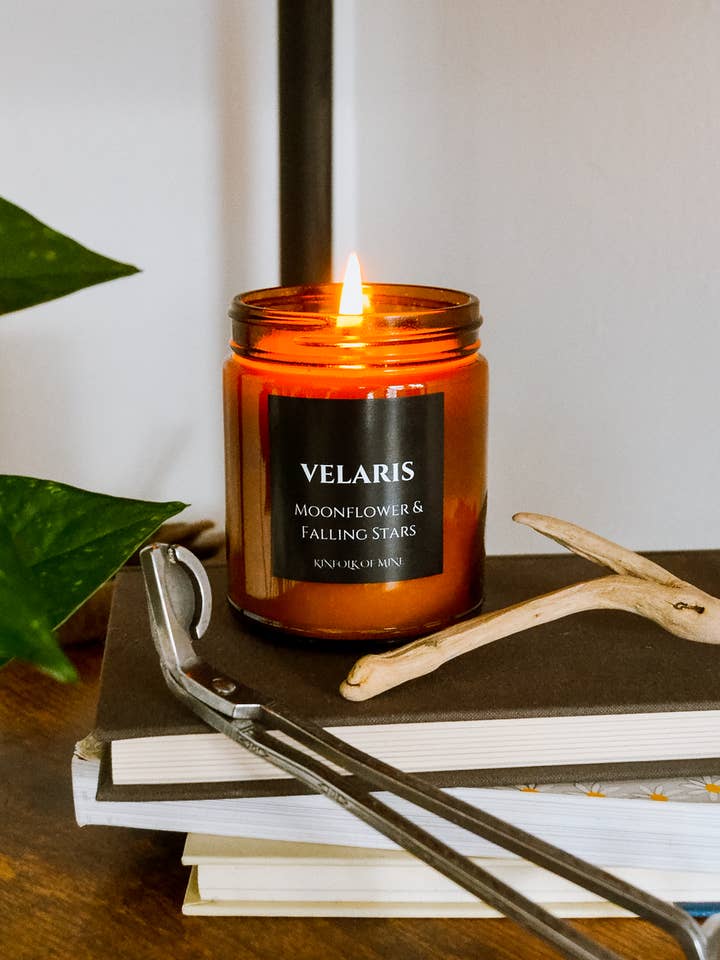 VELARIS BOEKCOLLECTIE 9oz kaars voor wholesale door Kinfolk of Mine