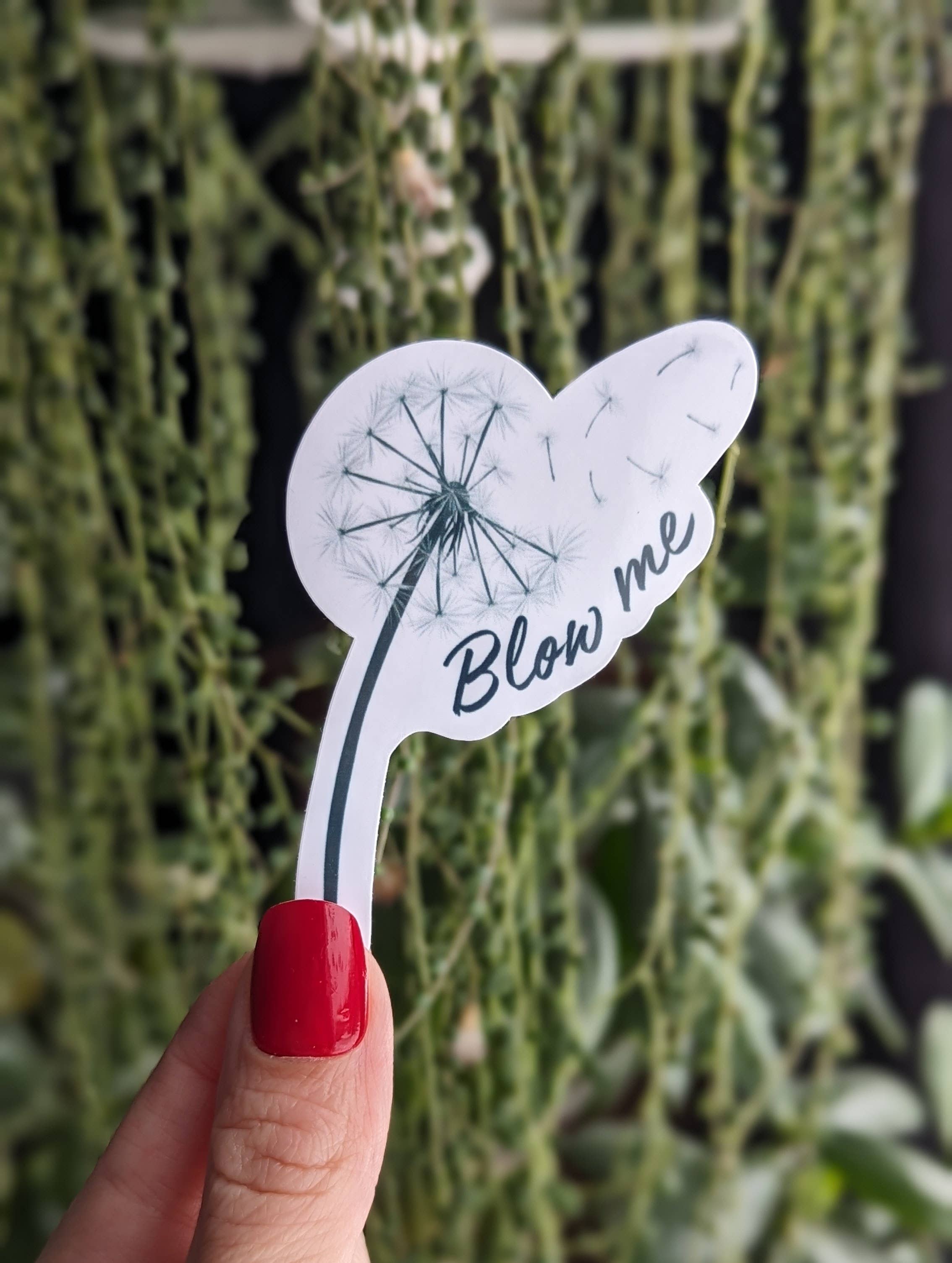 Moonlit Creations – wholesale Sticker – Blow me vinyl sticker, funny adult dirty sticker2