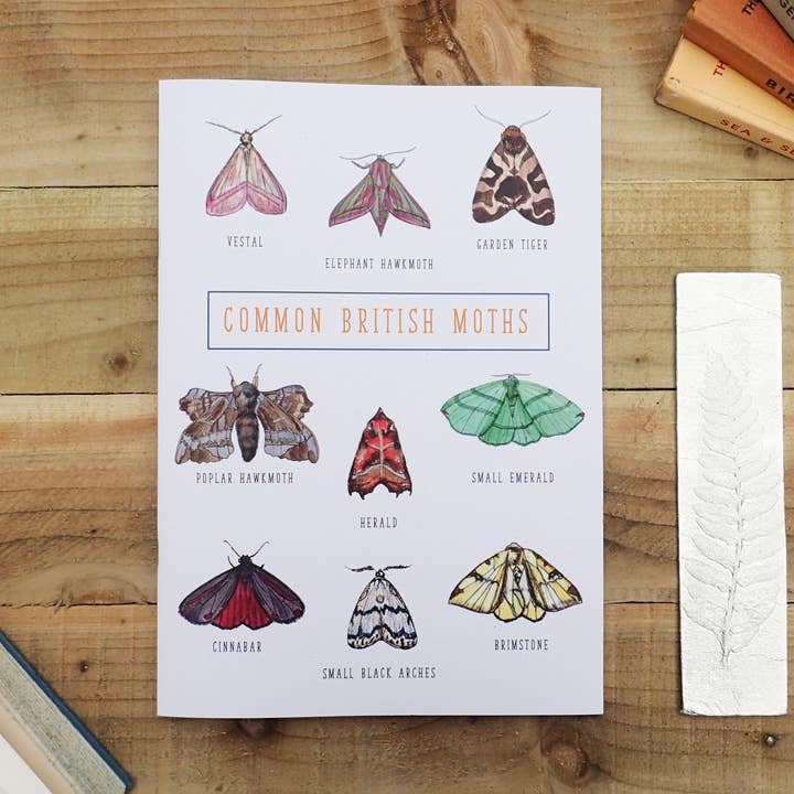 Common British Moths Illustrated Lined Notebook - Multiple S for wholesale by Little Plover