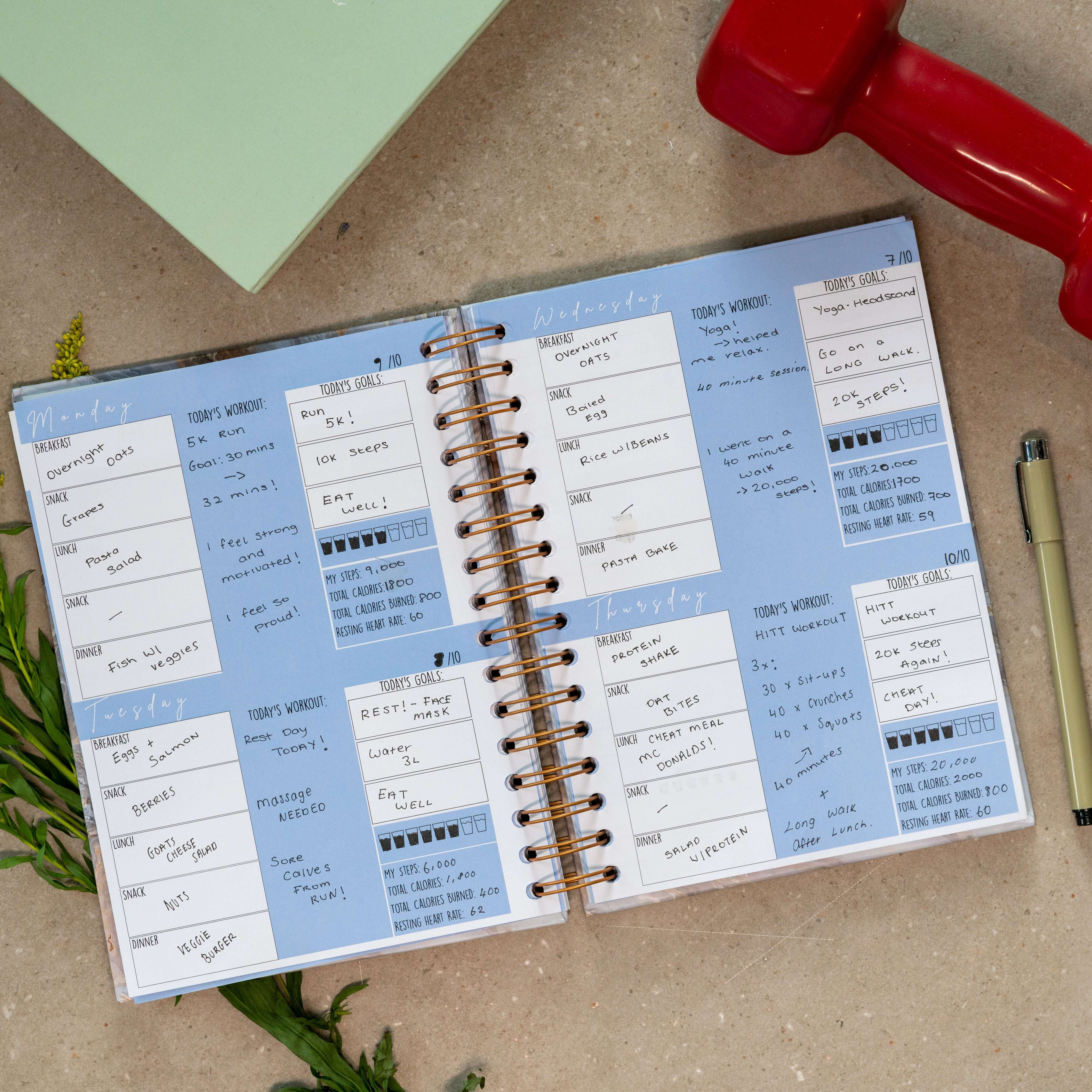 GirlGottaChange - Wholesale Planner - Live Your Best Life' 6-Month Undated Fitness Planner2