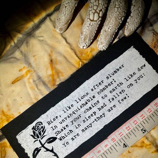 Three Raccoons - Wholesale Patch - The Masque of Anarchy poem patch.0