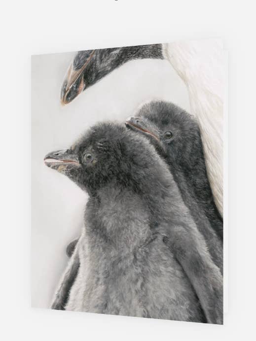 Penguin Premium Art Greeting Card - Blank-inside for wholesale by Crystal Clarke Animal Art