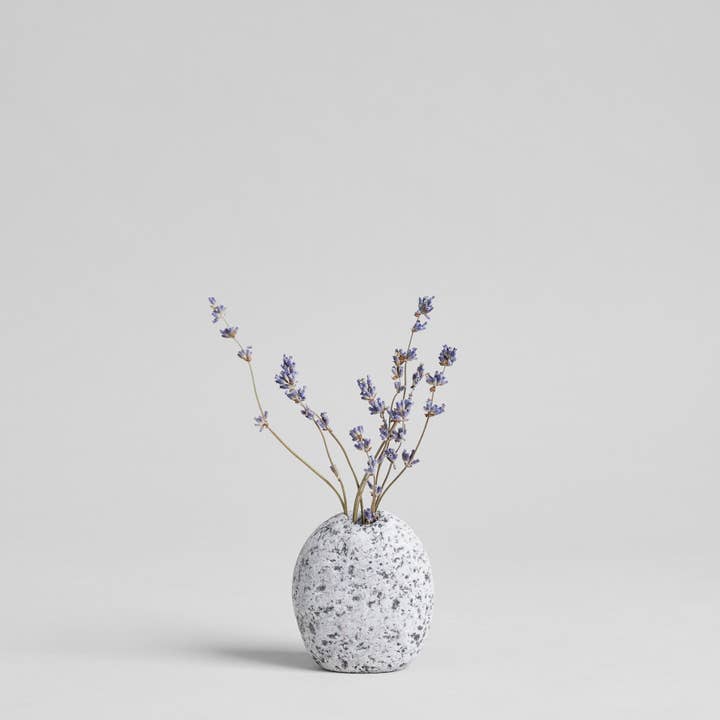 Bloomist - Wholesale Dried/Pressed Flowers - Dried Lavender