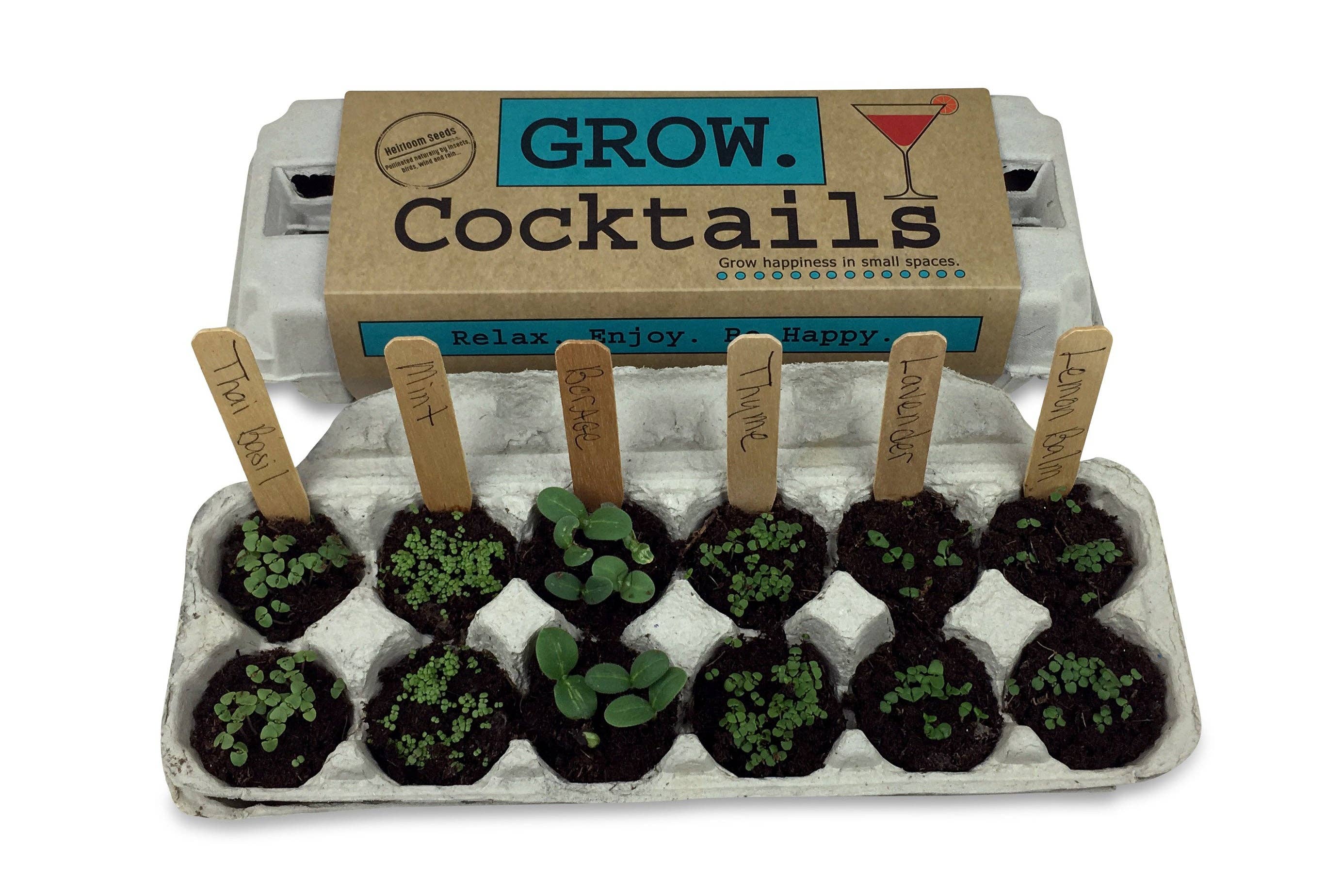 Backyard Safari Company - Wholesale Plant Seeds - Cocktail Garden Grow Kit2