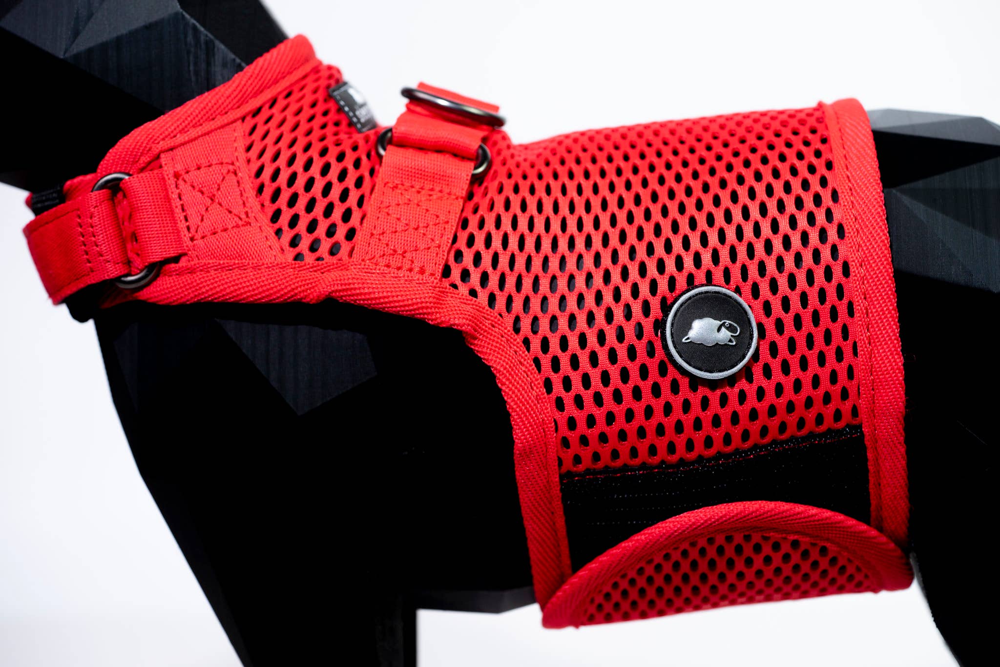 Sleepypod – Arnês – Gato por atacado – Coleira peitoral martingale para gato – coleira para passeio7