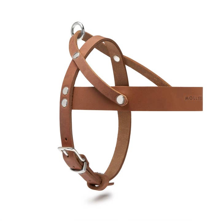 Molly and Stitch - Wholesale Pet Harness - Dog - Butter Leather Dog Harness - Sahara Cognac5