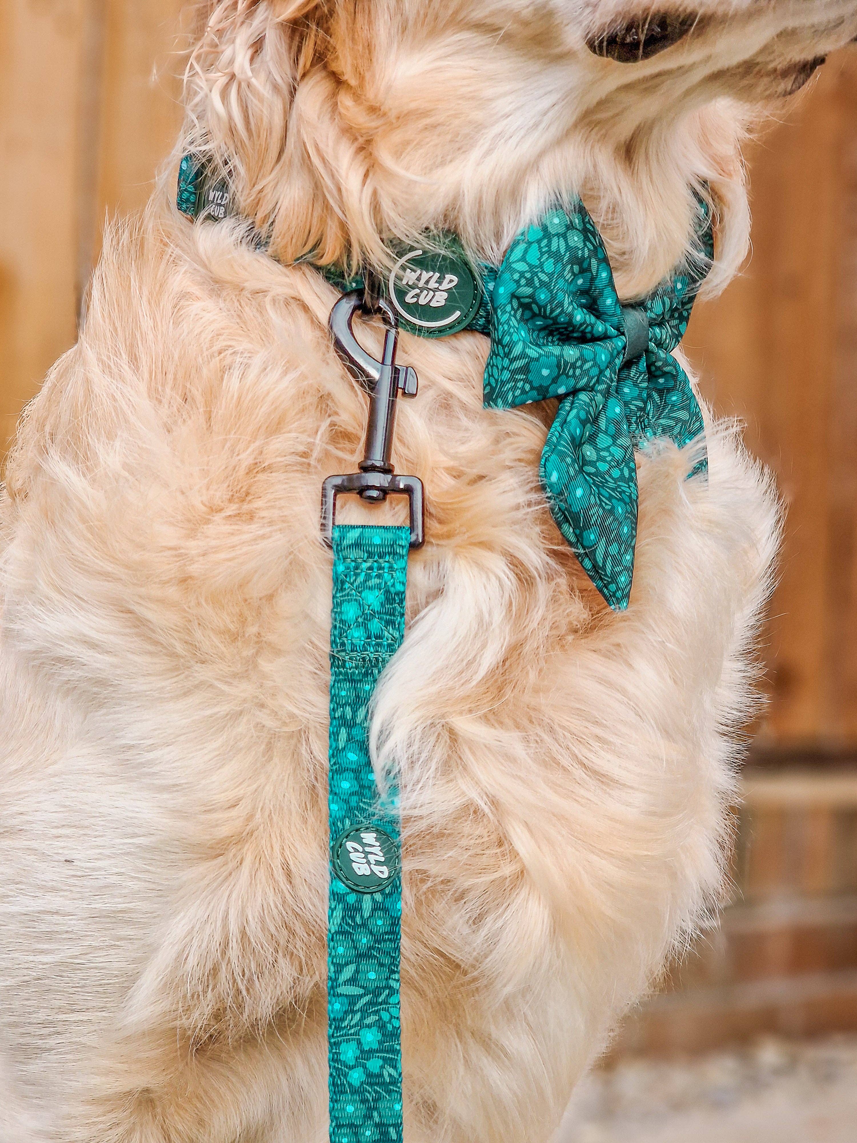 WYLD CUB – wholesale Pet leash – Dog – Dog Lead: Notting Hill Gooseberry11