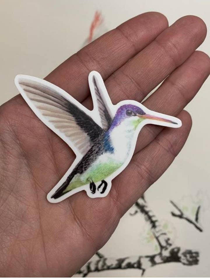 Violettkronad kolibri - Magnet för wholesale av Bird Art by KB