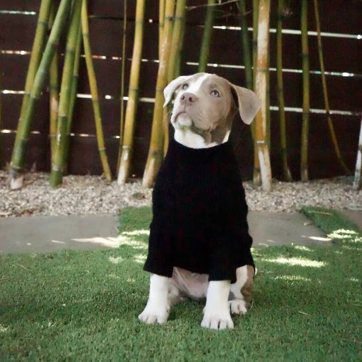 Black The RUFUS for wholesale on Faire1