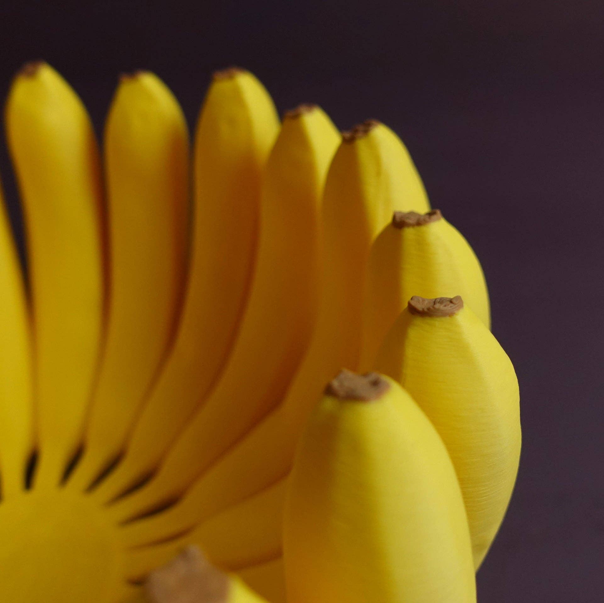 Roomberry - Wholesale Decorative Plate/Dish/Bowl - Banana Peel – Modern Banana Bowl in Three Sizes for Stylish Fruit Storage5