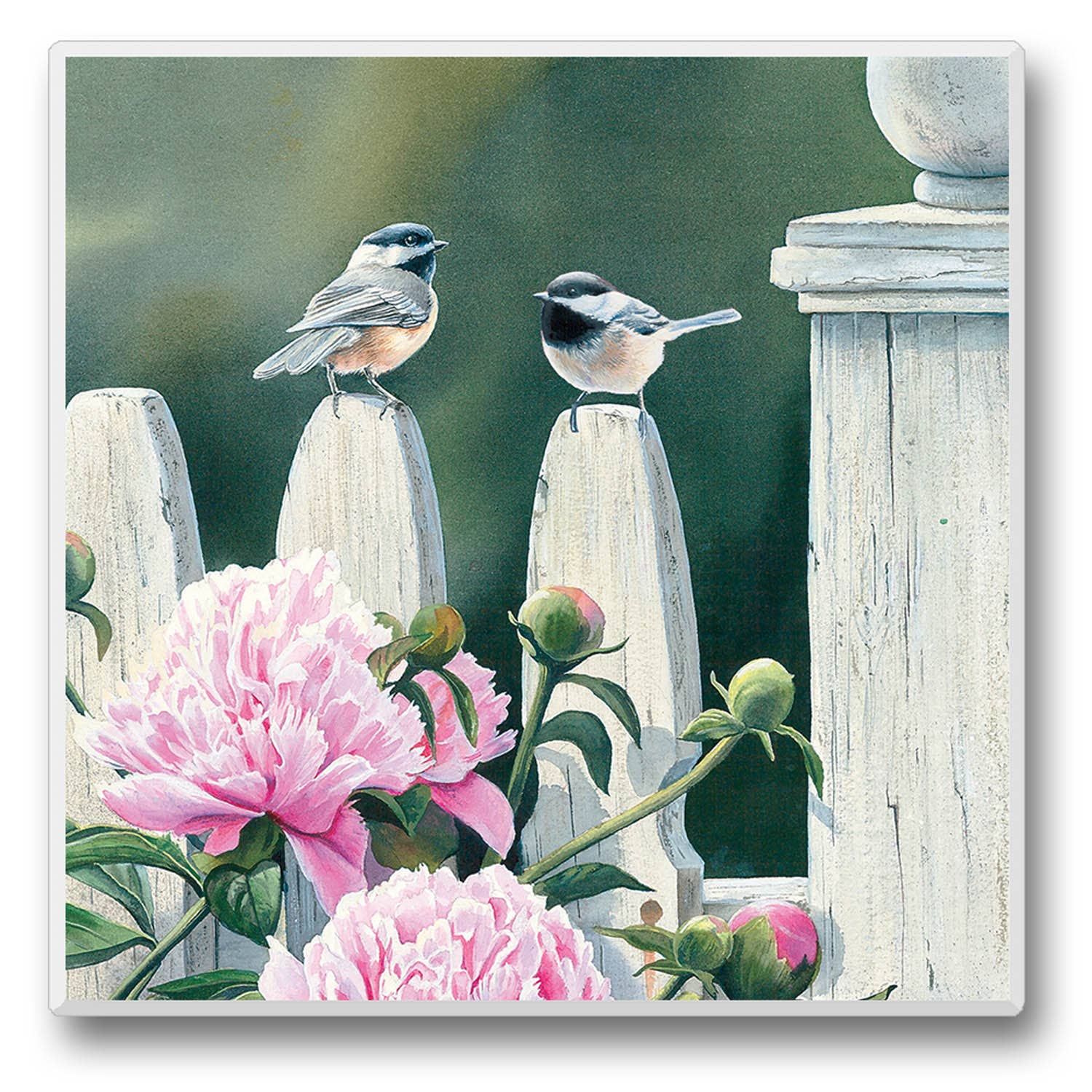 CounterArt/Highland Home/Thirstystone – Großhandel Verkaufsdisplay – Wohnen – Take Flight Einzeluntersetzer-Display, vorverpackt8