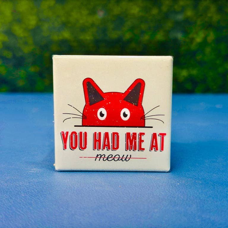 Snap It Stick It - Wholesale Magnet - You Had Me at Meow – Cute Cat Magnet Gift for Cat Lovers1