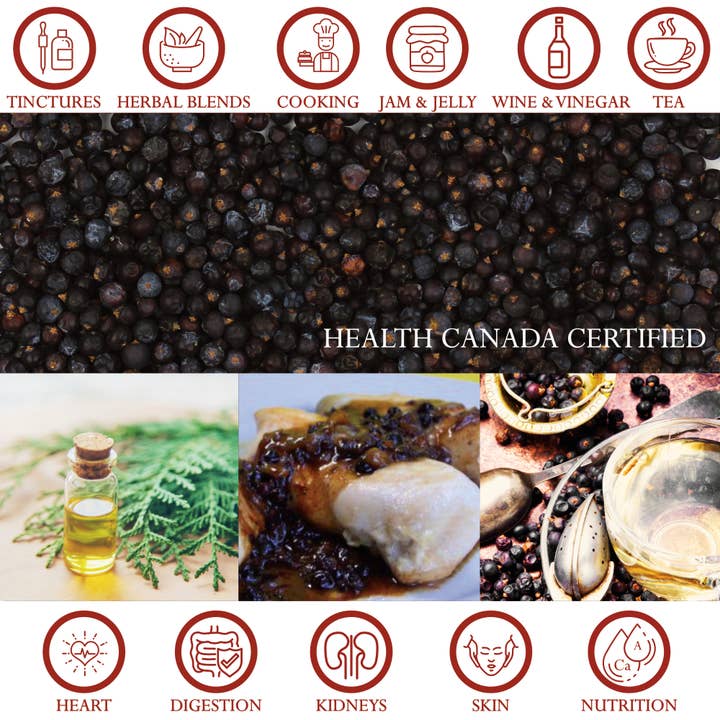 Foothills Naturals – Engroshandel Krydderurter – Juniper Berry Hele Økologisk - Spicy, Aromatisk, Urin Heal2