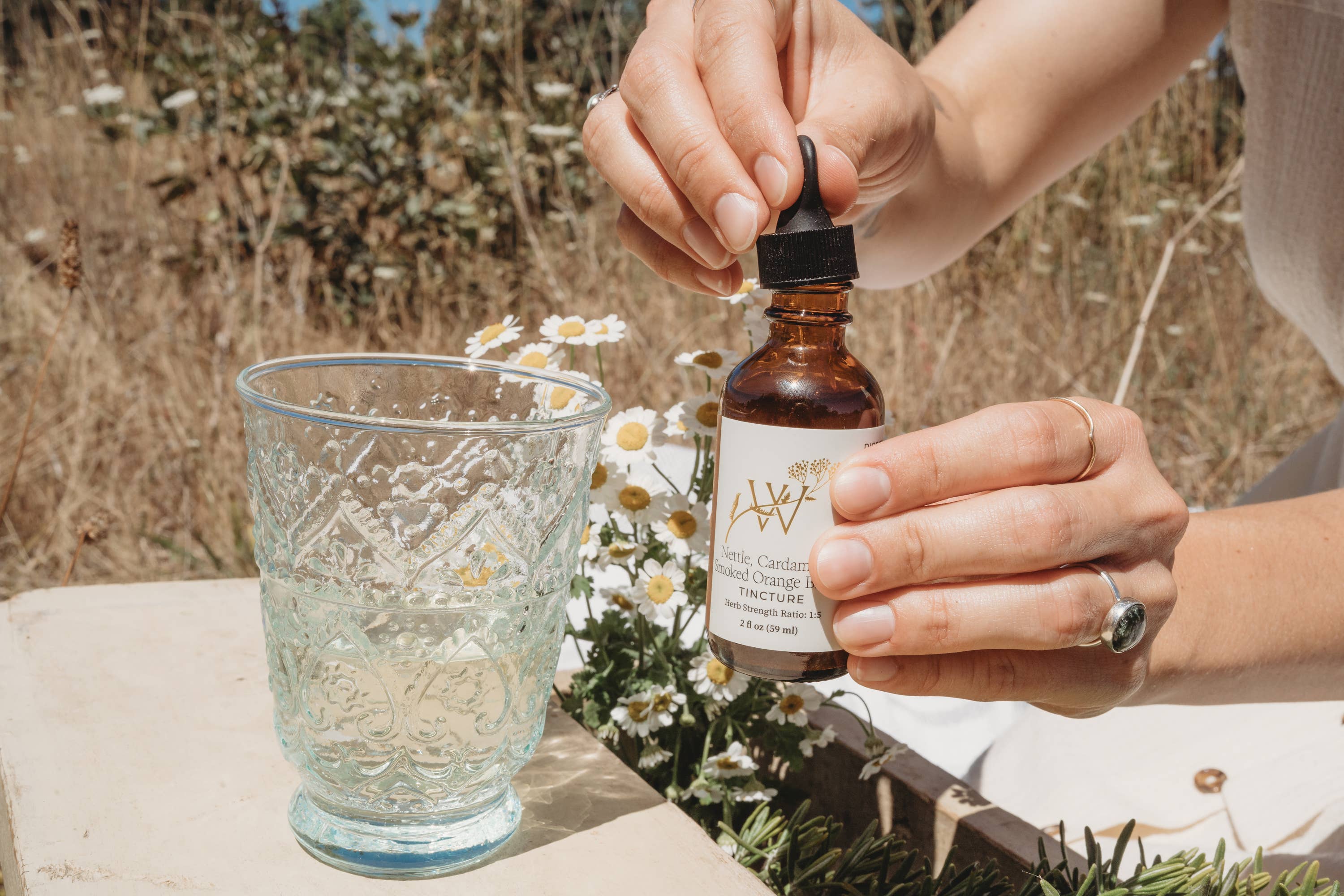 Wilderness Maven Apothecary - Wholesale Tincture - Nettle, Cardamom, Smoked Orange Bitters