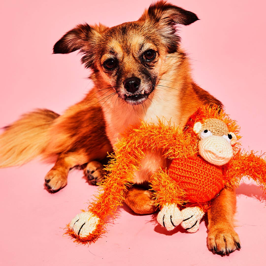 Ware of the Dog - Vendita all'ingrosso Giocattoli sonori per animali - Cani - Giocattolo per cani a forma di scimmia fatto all'uncinetto a mano1