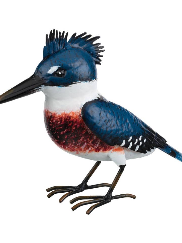 Bird Decor - Kingfisher for wholesale by Regal Art & Gift