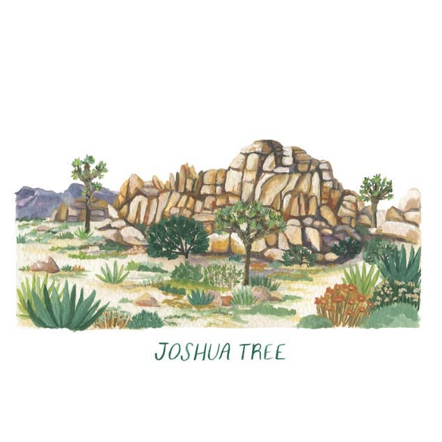 Impression du parc national de Joshua Tree pour la vente par Erin Vaughan Illustration