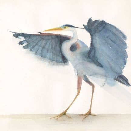 Great Blue Heron ~ "The Conductor" ~ "Oh, to Fly" ~ Giclée Print for wholesale by Holly Wach Art LLC