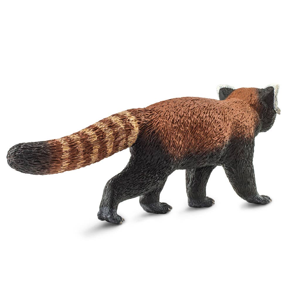 Safari Ltd. - Wholesale Figurine Toy - Kids - Red Panda - 1003203