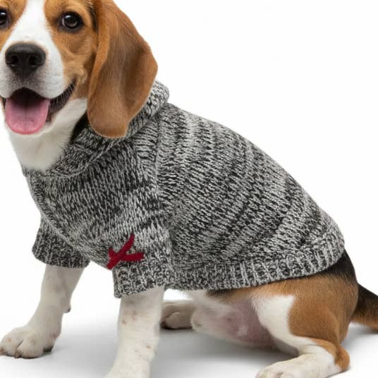 Manteau à capuche pour la vente par Dogo Pet
