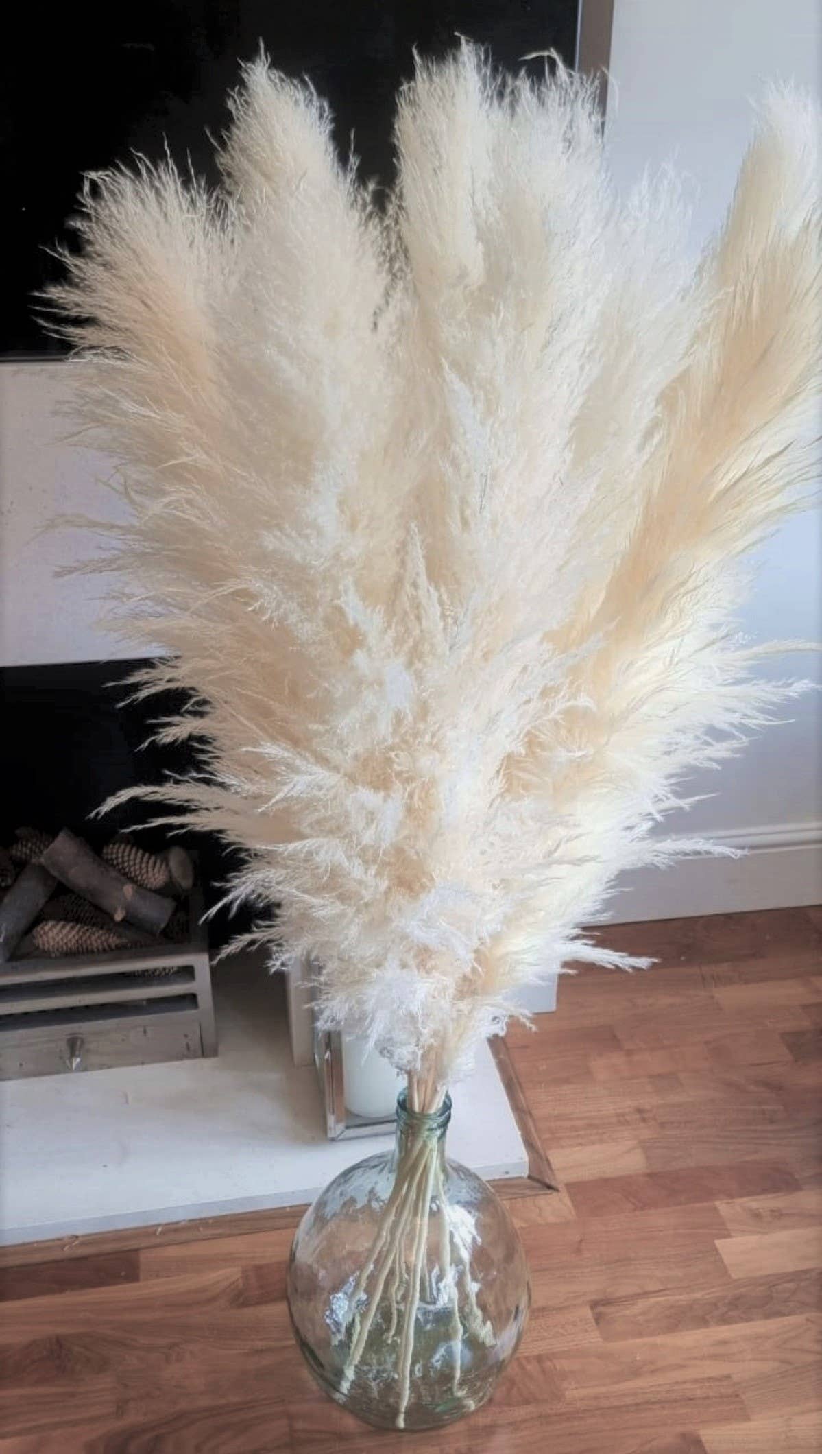 LoveProducts Ltd - Wholesale Dried/Pressed Flowers - Large Pampas Grass Ivory cream pampass grasses decor6