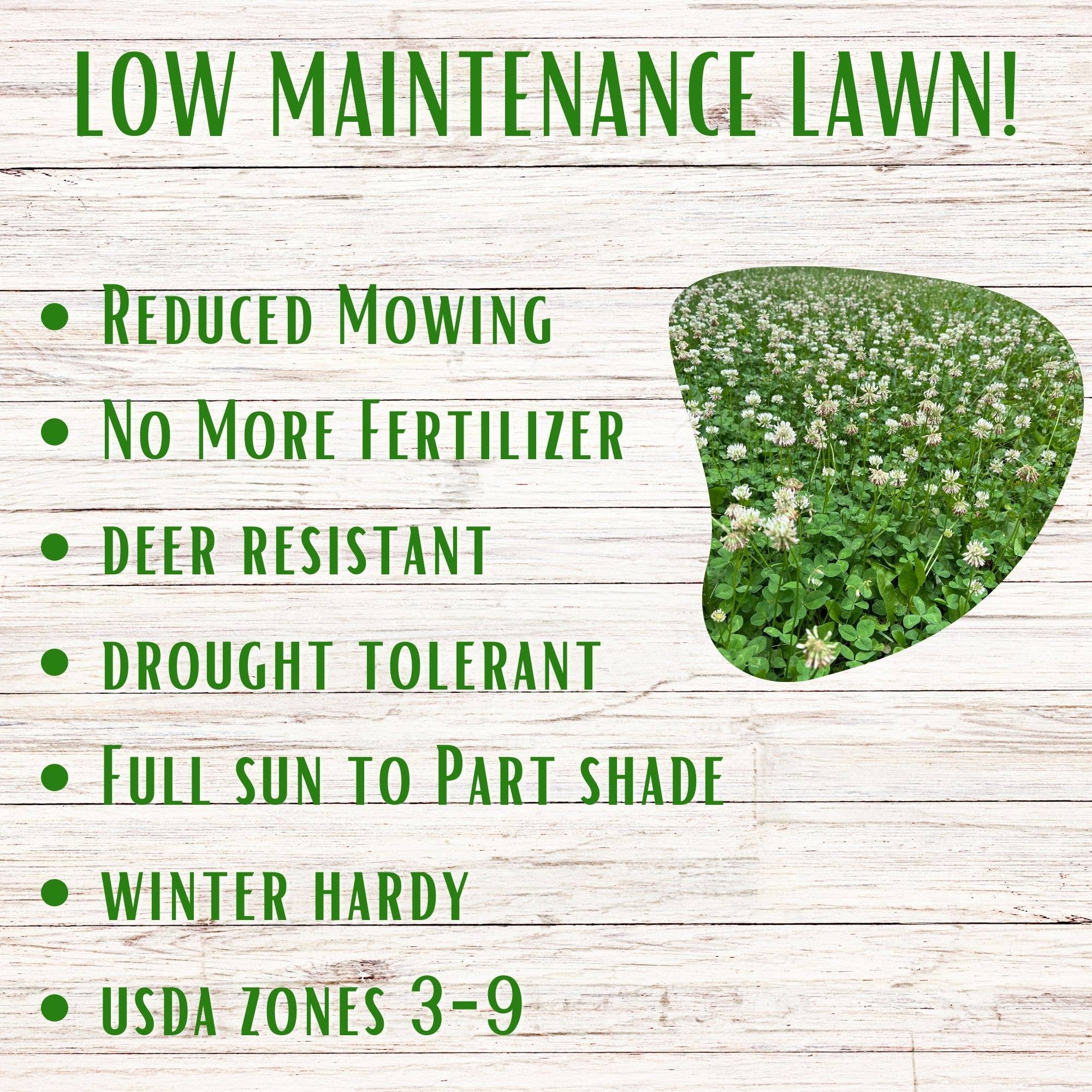 Flawn Seed Kits - Wholesale Plant Seeds - Dutch White Clover Seed Kit Easy Spread Shaker4